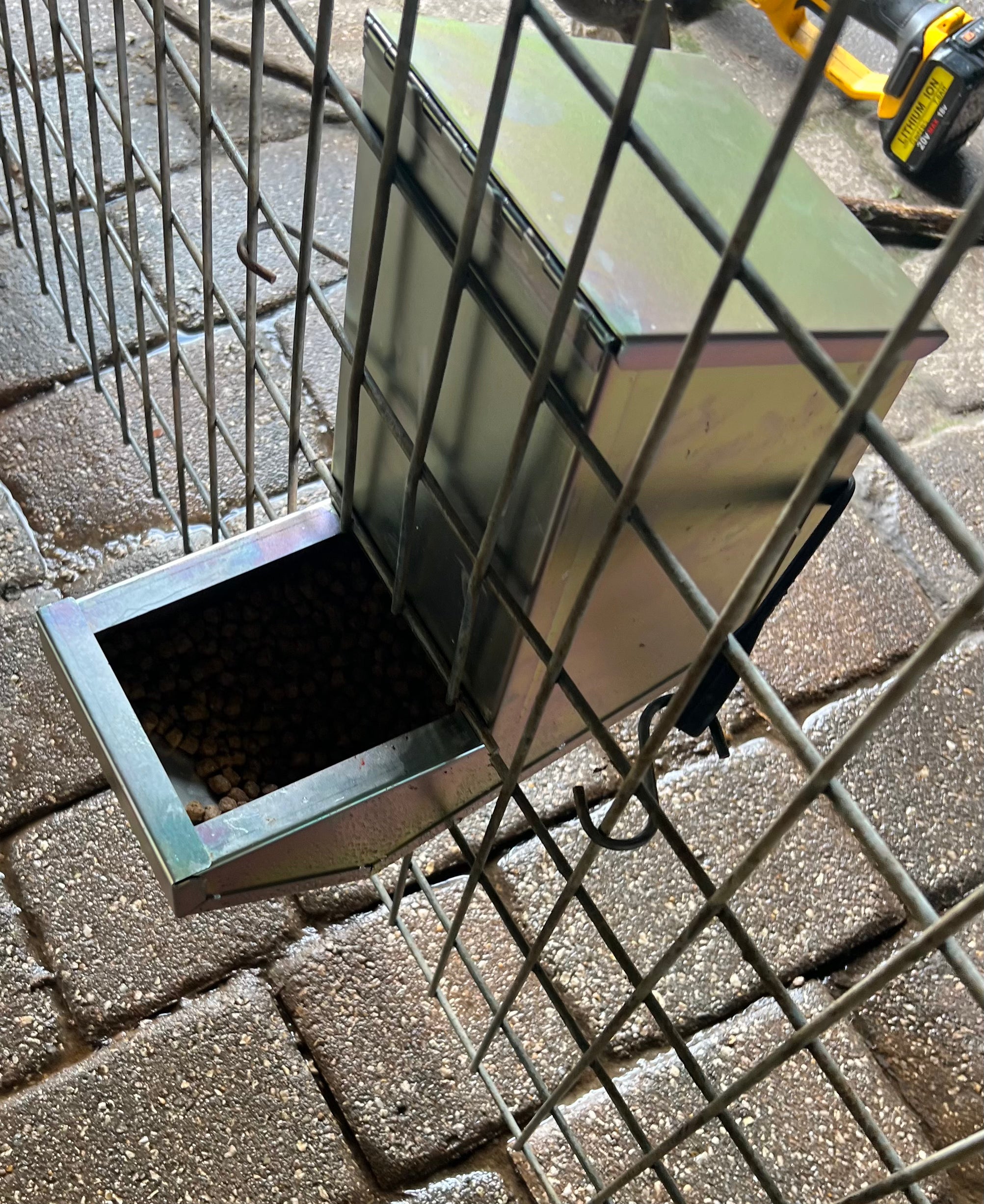 Automatic dog feeder Tunney