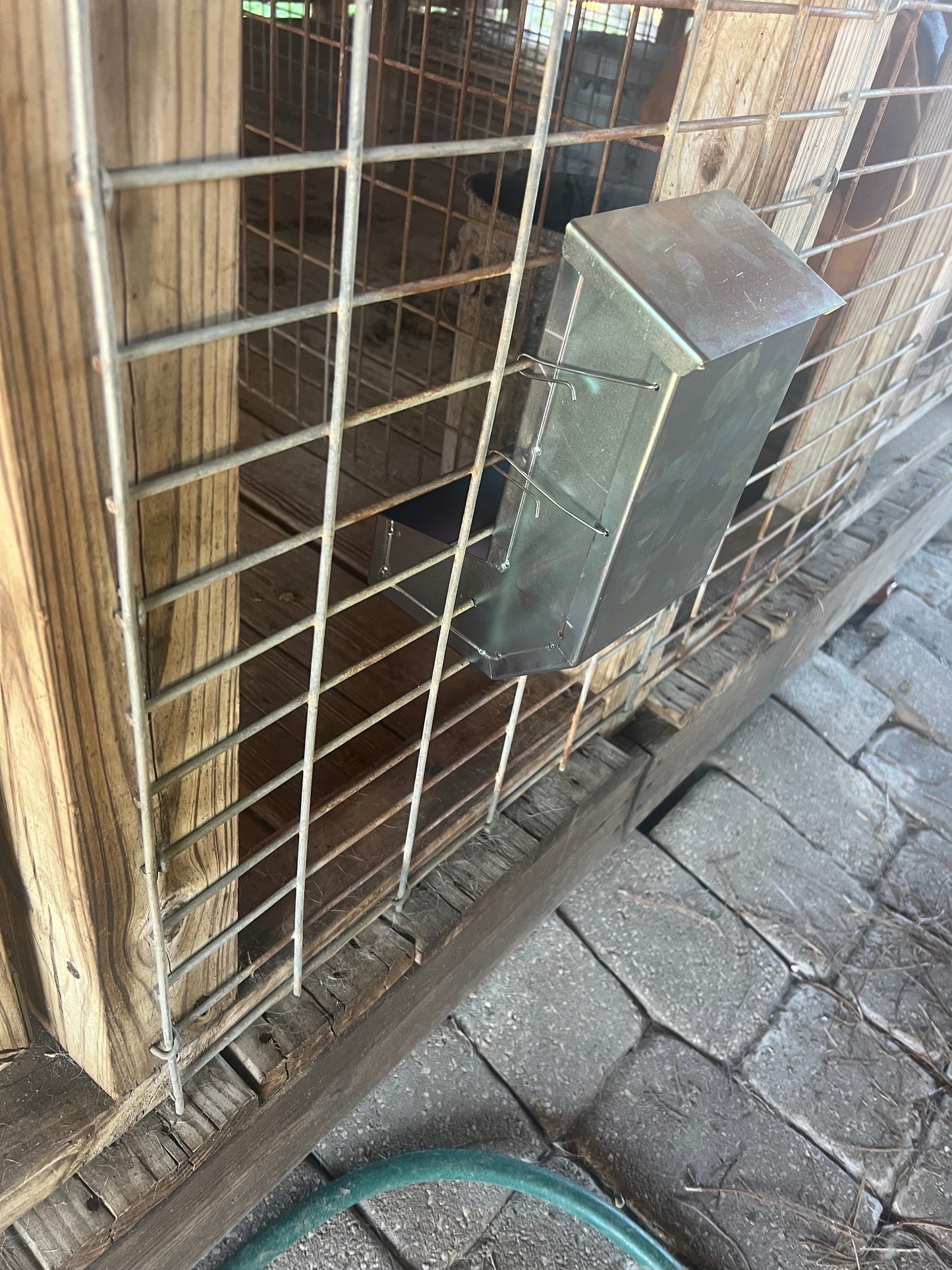 galvanized automatic dog feeder